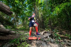 BIB: 
                            <button type="button" onclick="openModal(19388573)" class="btn btn-primary btn-sm float-right btn-popup" data-toggle="modal" data-target=".modal-high-quality">
                        <i class="fas fa-shopping-cart"></i> Add to Cart
                    </button>
                                            <button type="button" onclick="isThisMe(19388573, true)" class="btn btn-success btn-sm float-right btn-popup btn-isme hidden" data-toggle="tooltip" data-placement="bottom" title="นี่คือรูปของคุณใช่ไหม คลิกที่นี่เพื่อเอาเข้าอัลบั้ม">
                        <i class="fas fa-plus"></i> Add to album
                    </button>
                    <button type="button" onclick="isThisMe(19388573, false)" class="btn btn-warning btn-sm float-right btn-popup btn-isnotme hidden">
                        <i class="fas fa-ban"></i> Remove from album
                    </button>